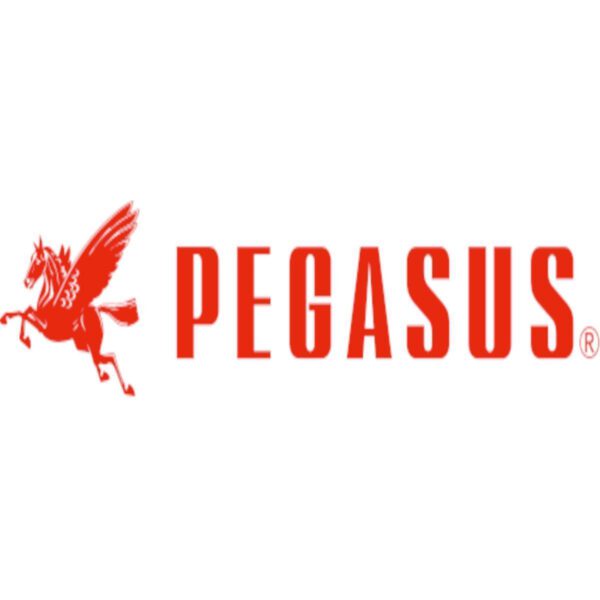 Pegasus